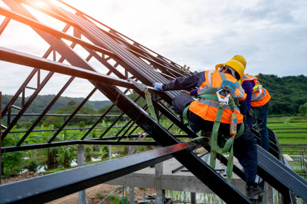 Best Roof Gutter Cleaning  in Geneva, AL